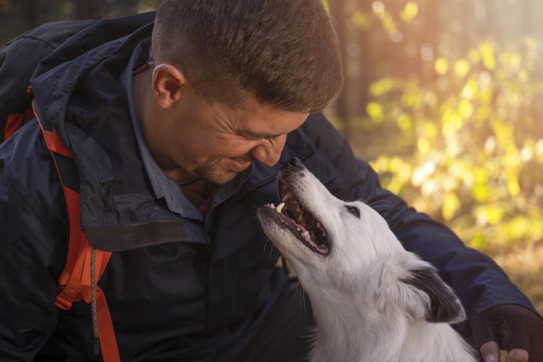 How Do I Know My Rescue Dog Loves Me – The Pet Adoption Journey
