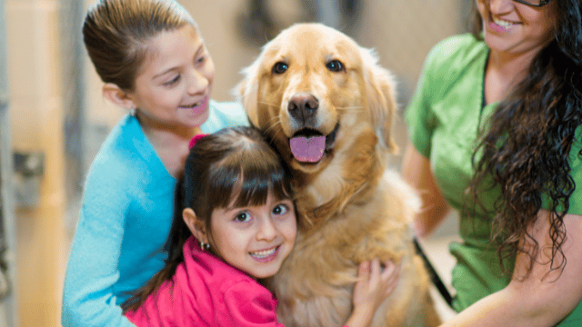 rehome a dog (1)